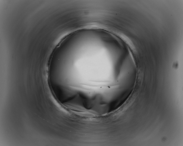 X0000100751476200807031324