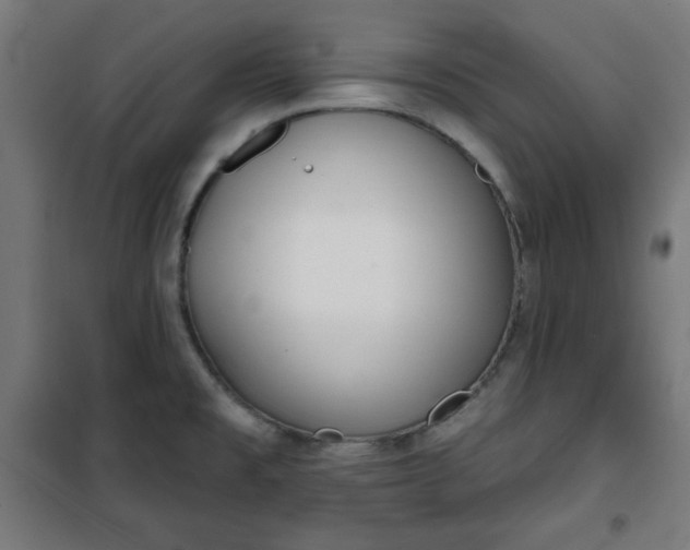 X0000100751477200807031324