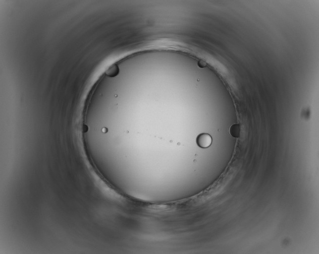 X0000100751478200807031324