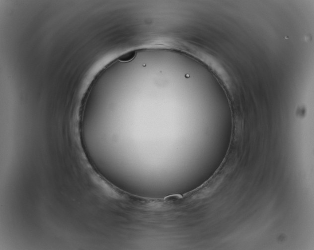 X0000100751480200807031324