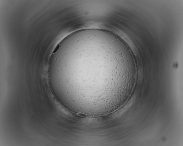 X0000100751481200807031324