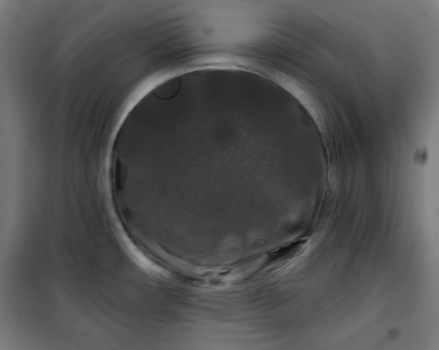 X0000100751482200807031324