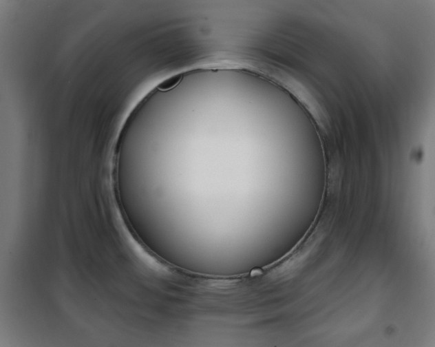 X0000100751484200807031324