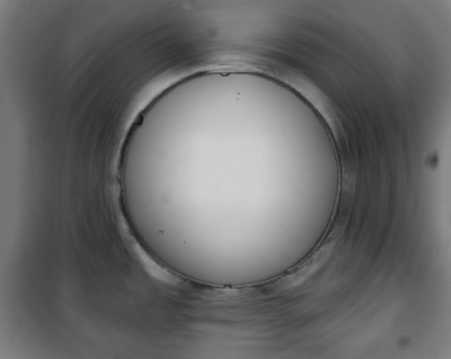 X0000100751485200807031324