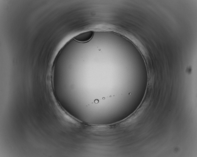 X0000100751486200807031324