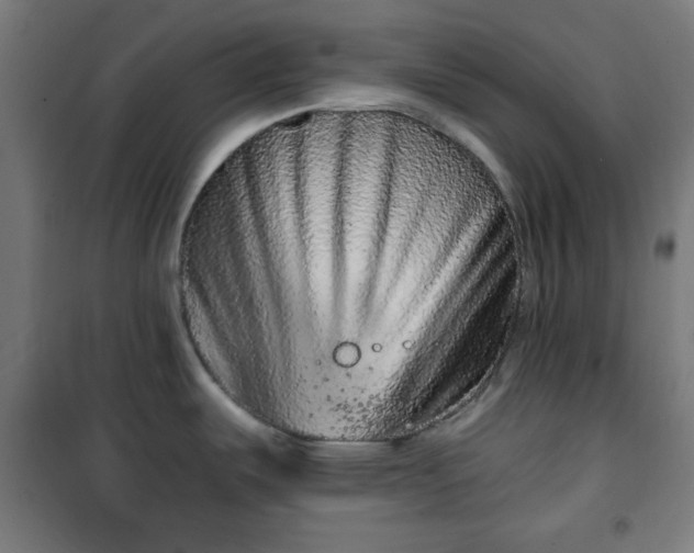 X0000100751487200807031324