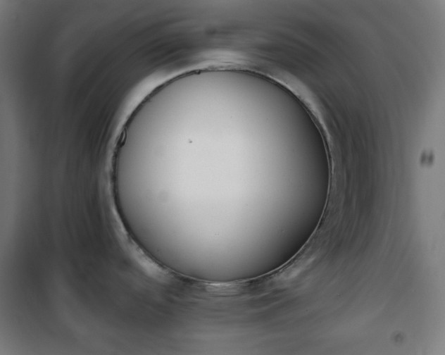 X0000100751488200807031324