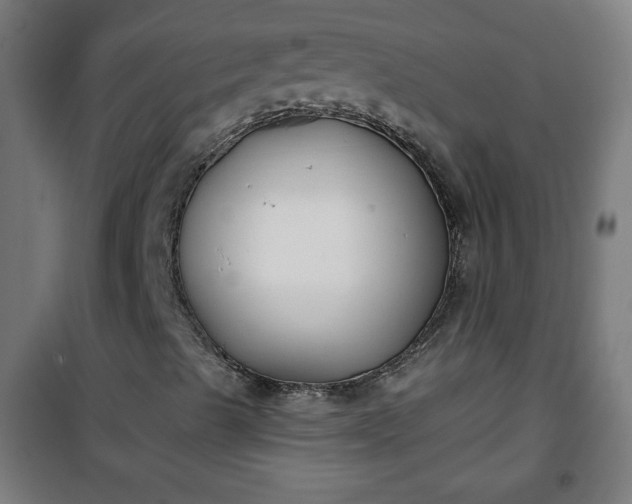 X0000100751489200807031323