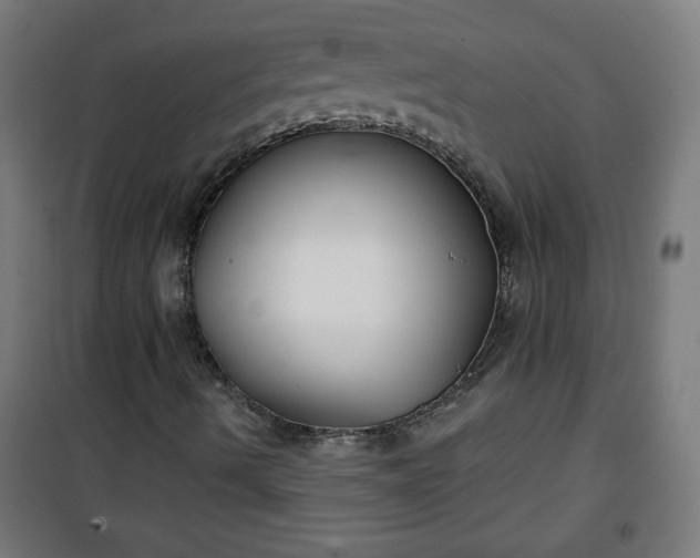 X0000100751490200807031323