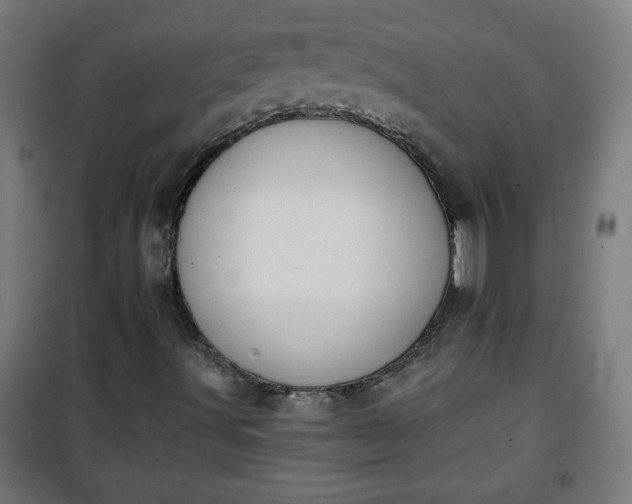 X0000100751491200807031323