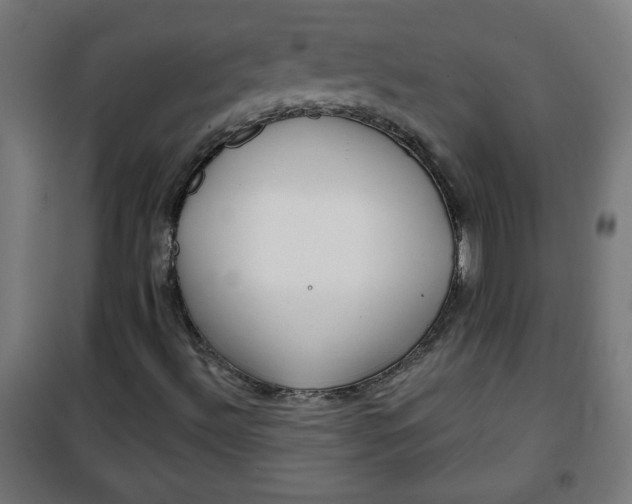 X0000100751492200807031323