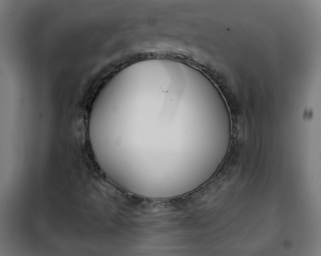 X0000100751493200807031323