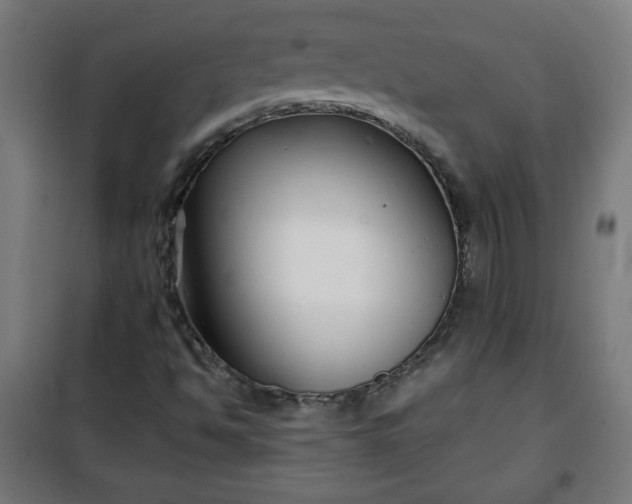 X0000100751494200807031323