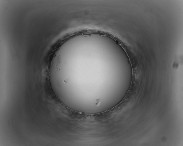 X0000100751495200807031323