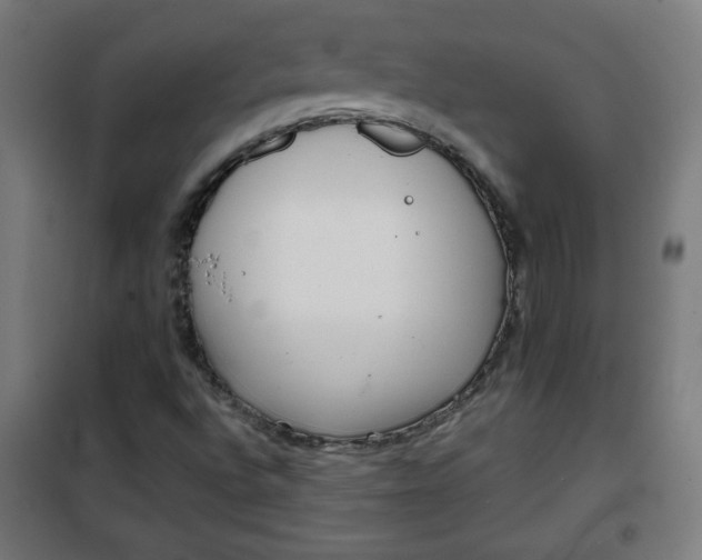 X0000100751496200807031323