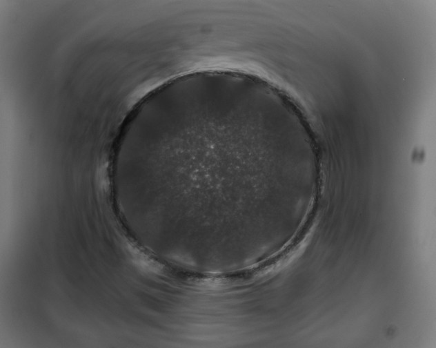 X0000100751497200807031323