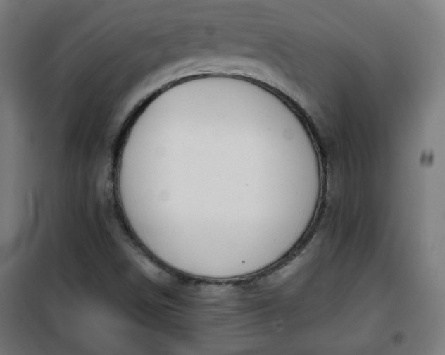 X0000100751498200807031323