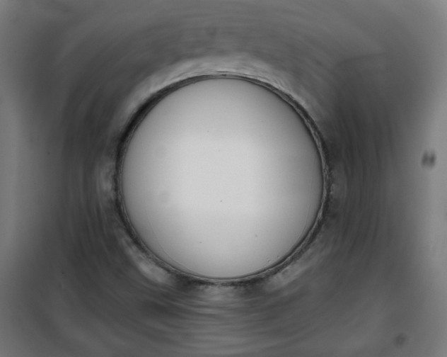 X0000100751499200807031323