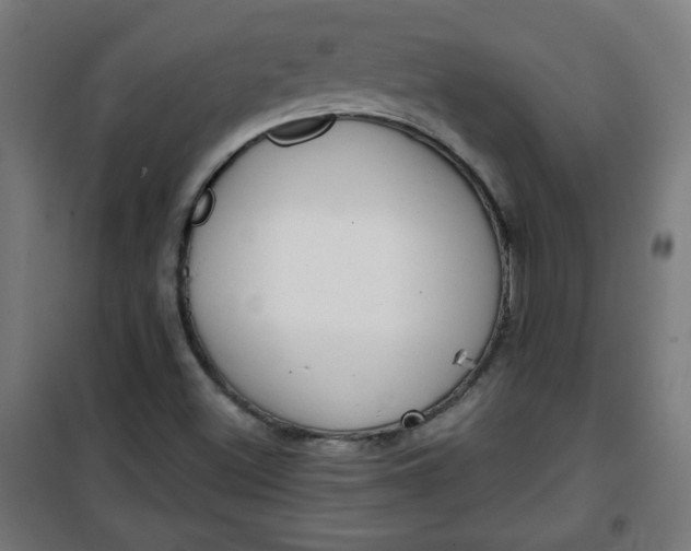 X0000100751500200807031324