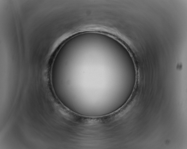 X0000100751501200807031324