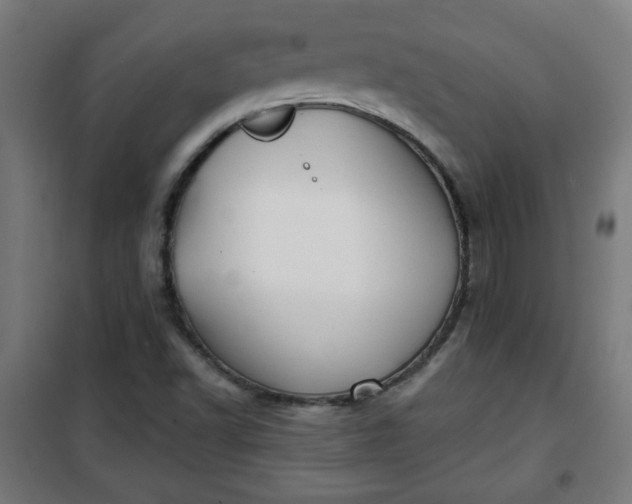 X0000100751502200807031324