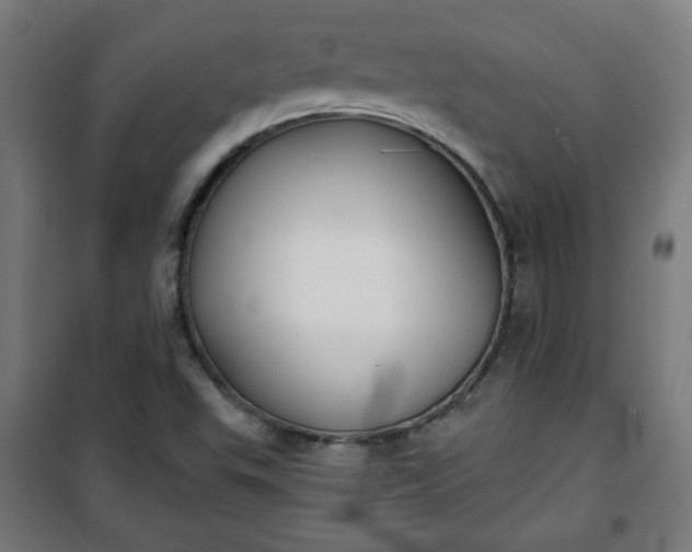 X0000100751503200807031324