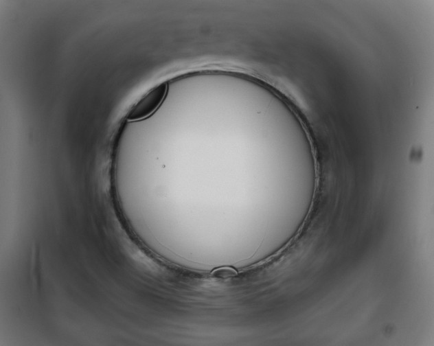 X0000100751504200807031324