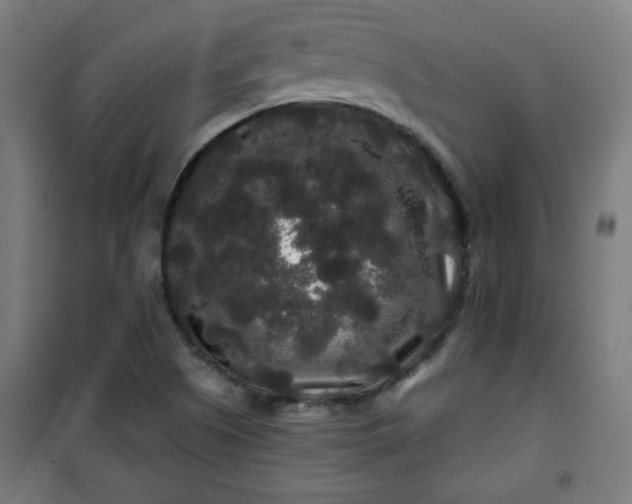 X0000100751505200807031324