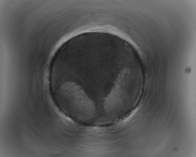 X0000100751506200807031324