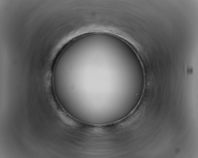 X0000100751507200807031324