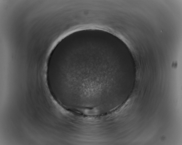 X0000100751508200807031324