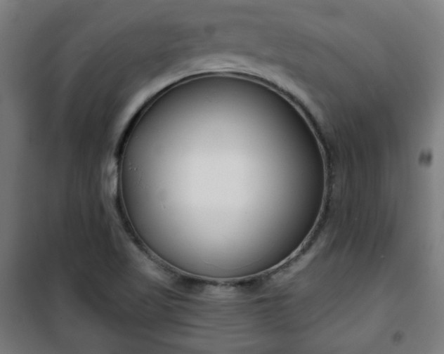 X0000100751509200807031324