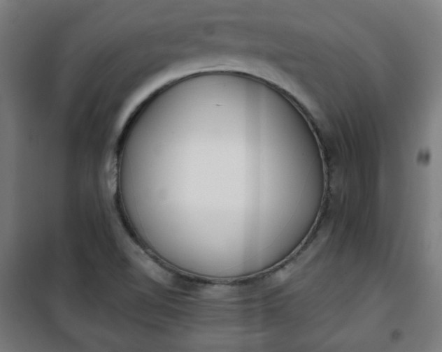 X0000100751510200807031324