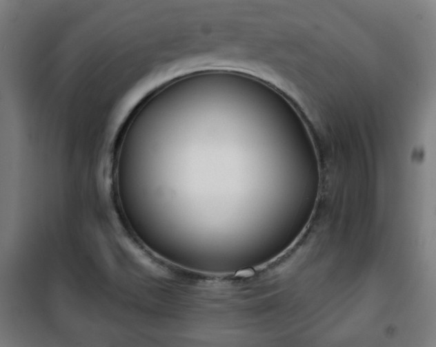 X0000100751511200807031324