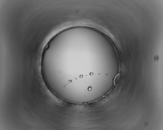 X0000100751512200807031324