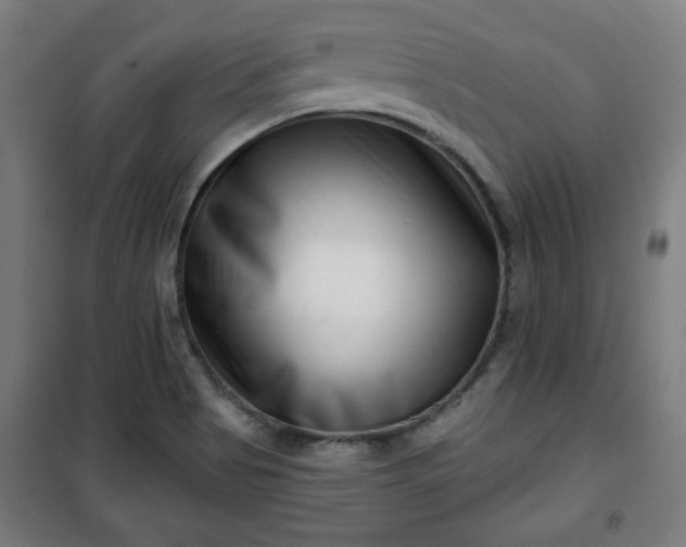 X0000100751513200807031324