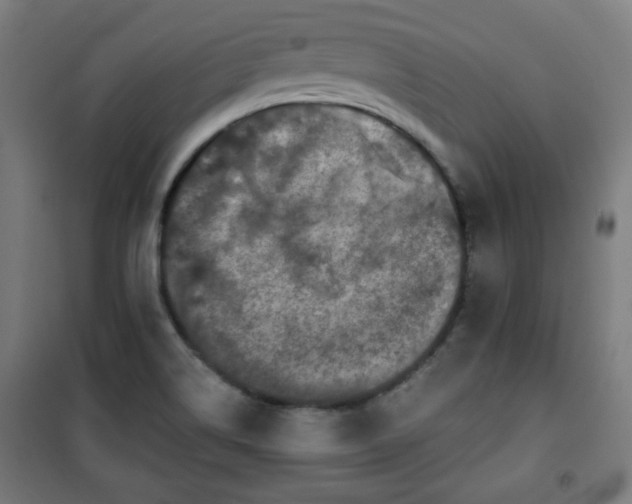 X0000100751514200807031324