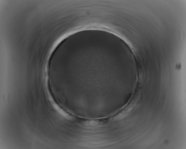 X0000100751515200807031324