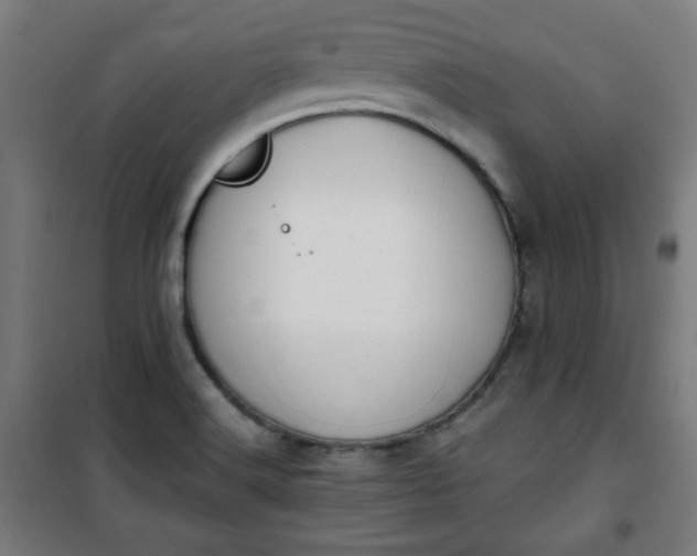 X0000100751516200807031324