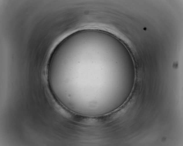 X0000100751517200807031324