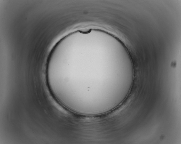 X0000100751518200807031324