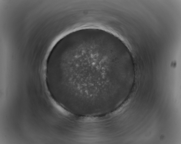 X0000100751519200807031324