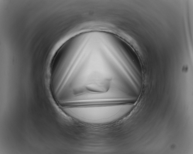 X0000100751520200807031324