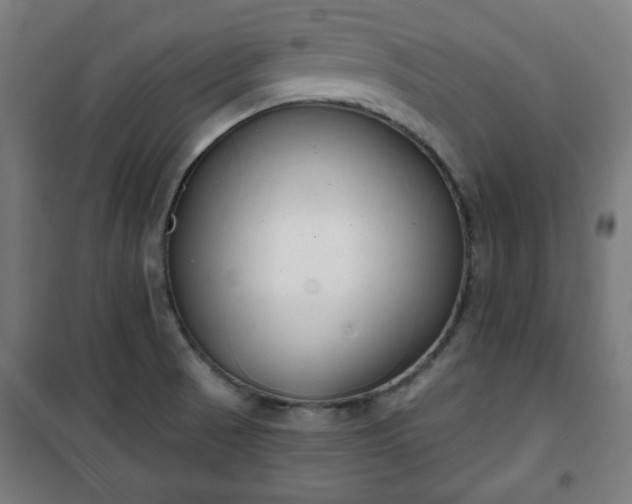 X0000100751521200807031324