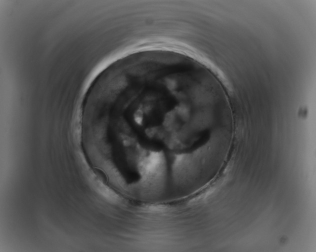 X0000100751522200807031324