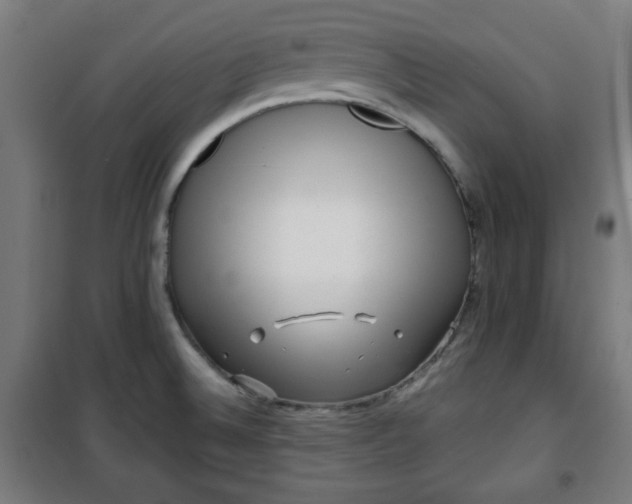 X0000100751524200807031324