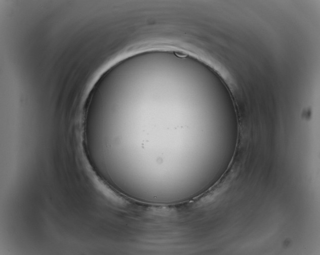 X0000100751526200807031324