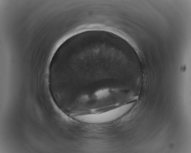 X0000100751527200807031324