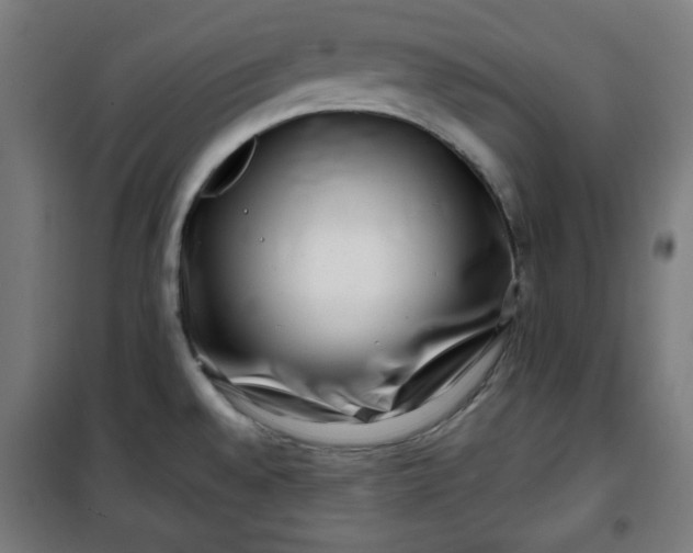 X0000100751528200807031324