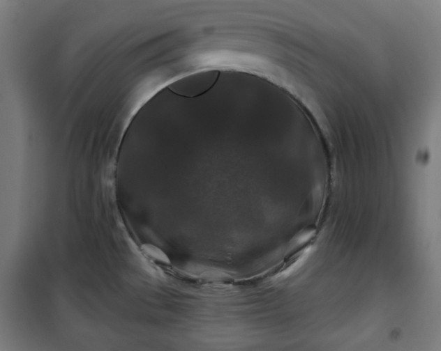 X0000100751529200807031324